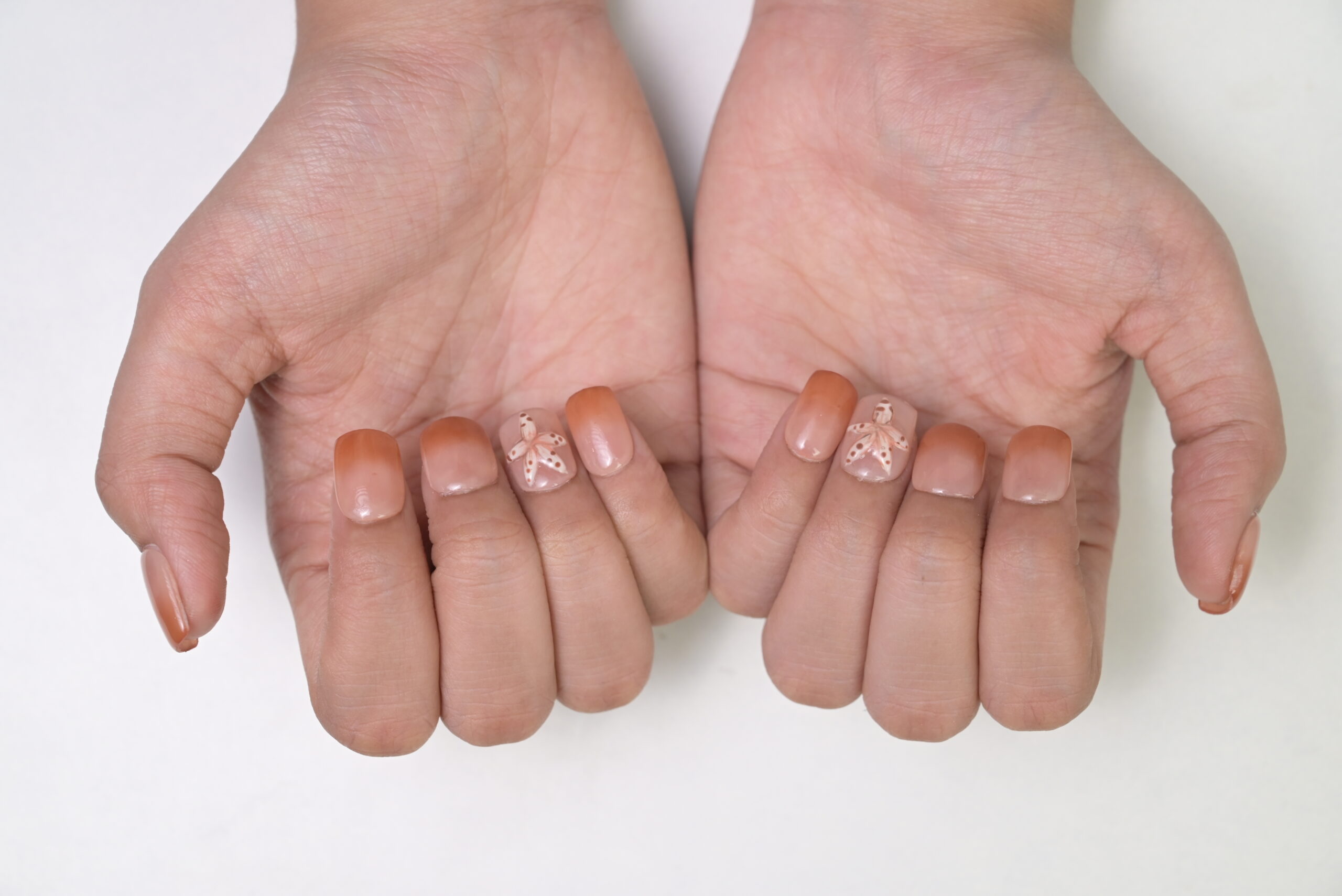 Phenomenails 10D Diamond Gloss Gel Nail Paint - Image 4